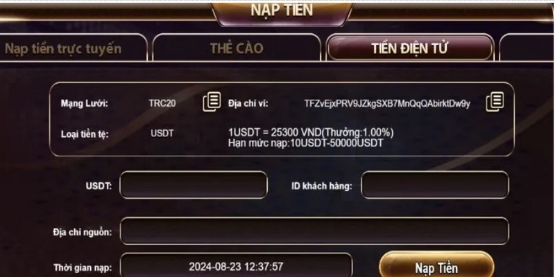 Truy cập vào trang web bằng link chuẩn để tiến hành gửi tiền